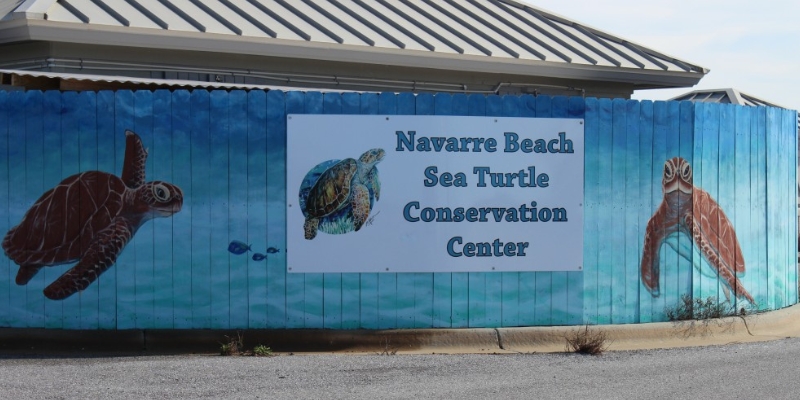 Navarre Sea Turtle Conservation Center